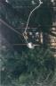 Vancouver bungee jump 1996 2.jpg